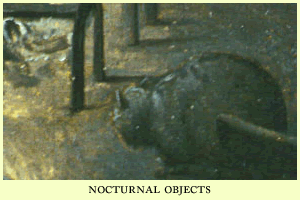 nocturnal objects